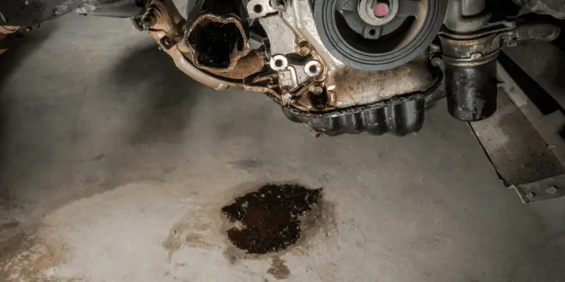 Honda Civic Oil Leak between Engine And Transmission
