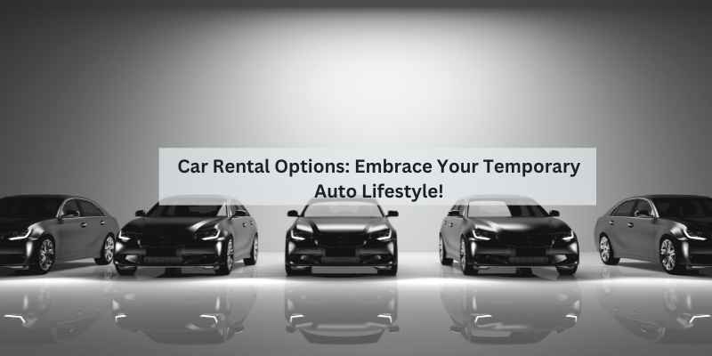 Car Rental Options