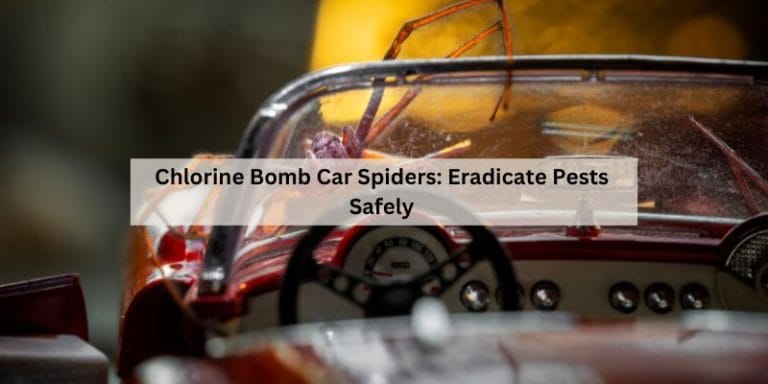 Chlorine Bomb Car Spiders