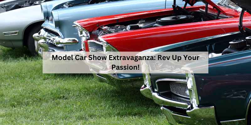 Model Car Show Extravaganza