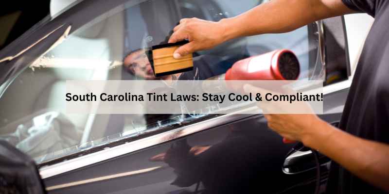 South Carolina Tint Laws