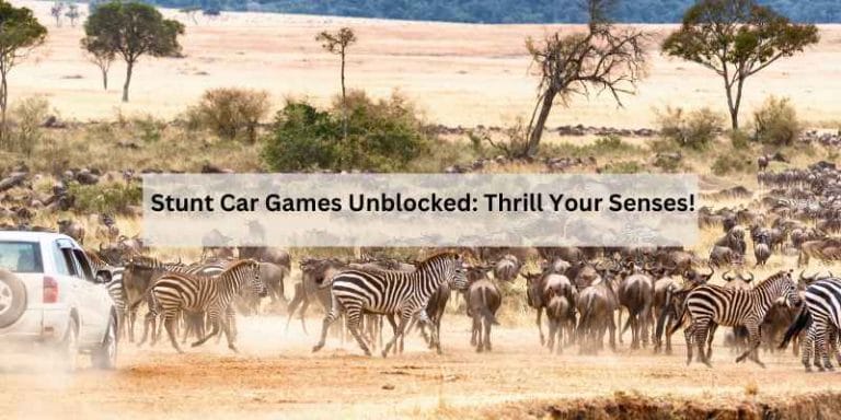 Stunt Car Games Unblocked