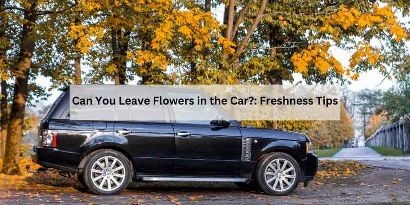 Can You Leave Flowers in the Car