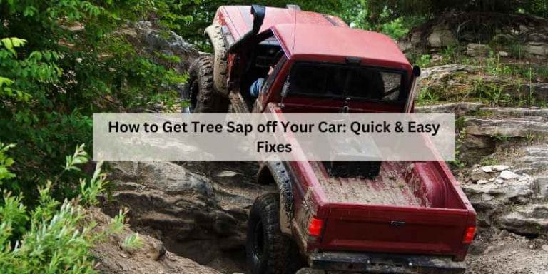 How to Get Tree Sap off Your Car