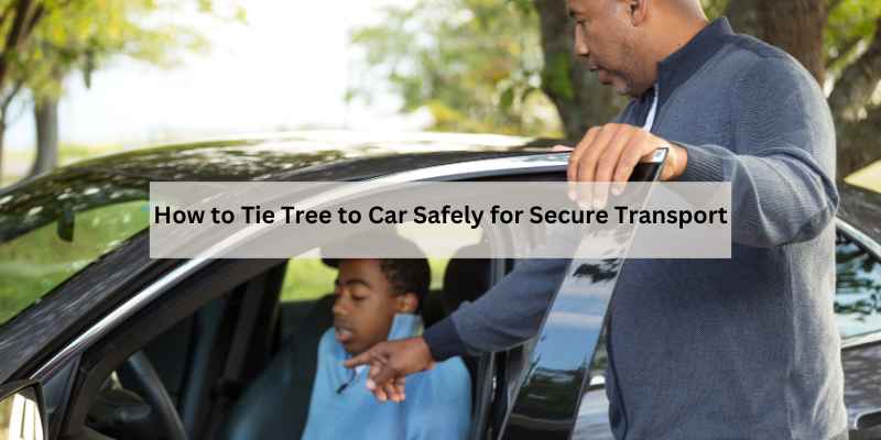 How to Tie Tree to Car