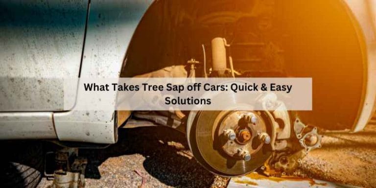 What Takes Tree Sap off Cars