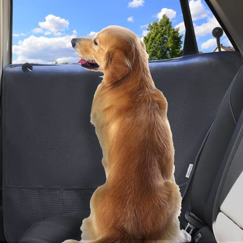 Best Car Door Protectors for Scratches