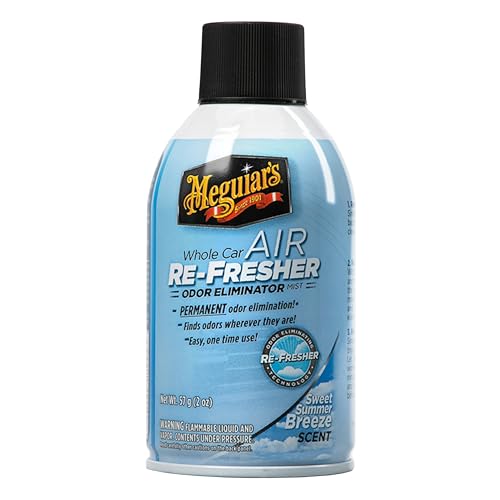 Best Car Odor Eliminators