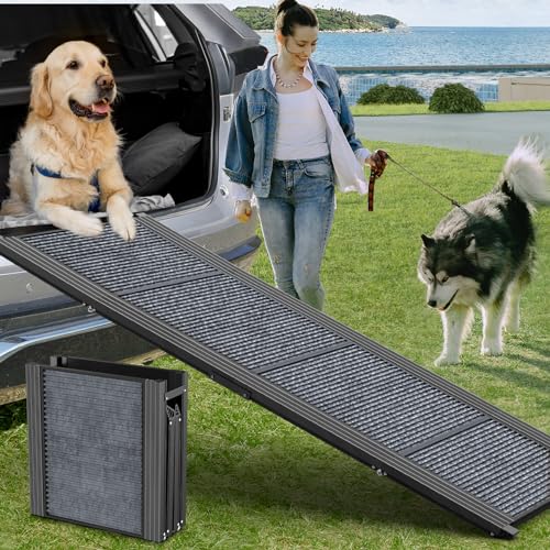 Best Dog Ramp for Car