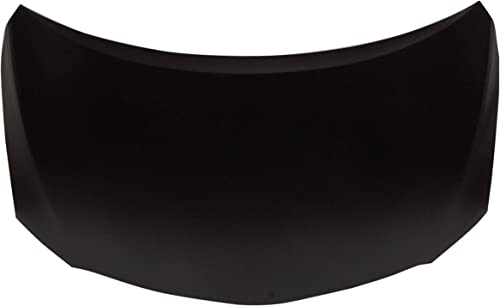 Hood for Car