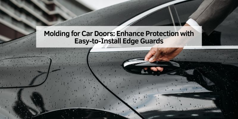 Molding for Car Doors