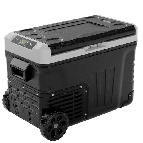 Cooler Freezer for Car