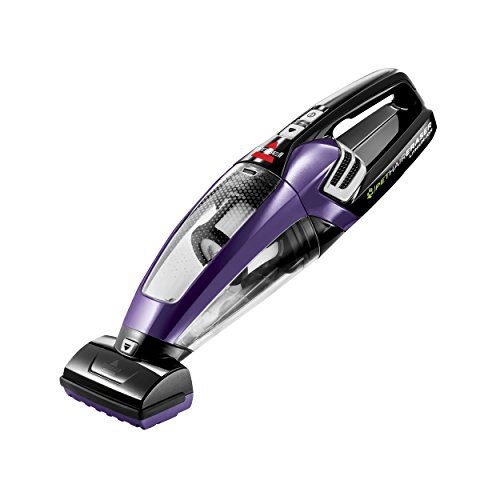 Vacuum for Dog Hair in Car