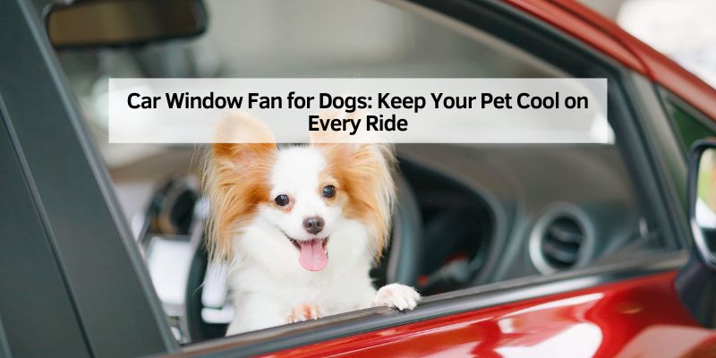 Car Window Fan for Dogs