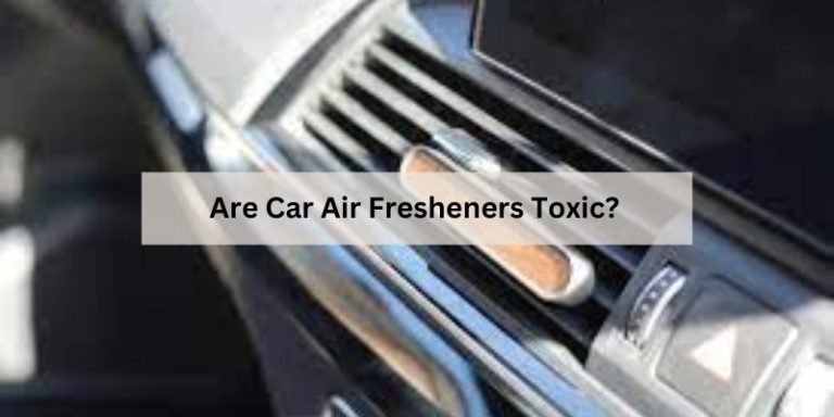 Are Car Air Fresheners Toxic?