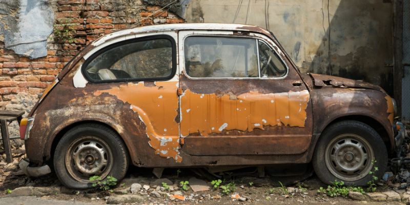 Cost of Dealing with Mold