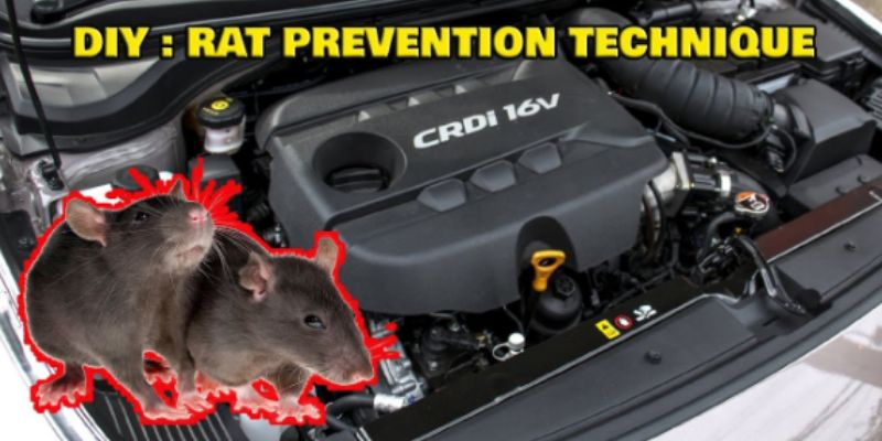 How to Prevent Rodents in Car