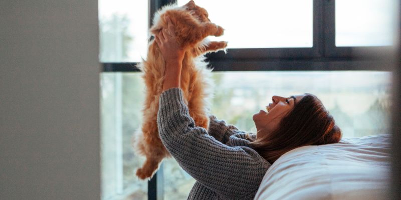 Keeping Your Cat Healthy and Happy