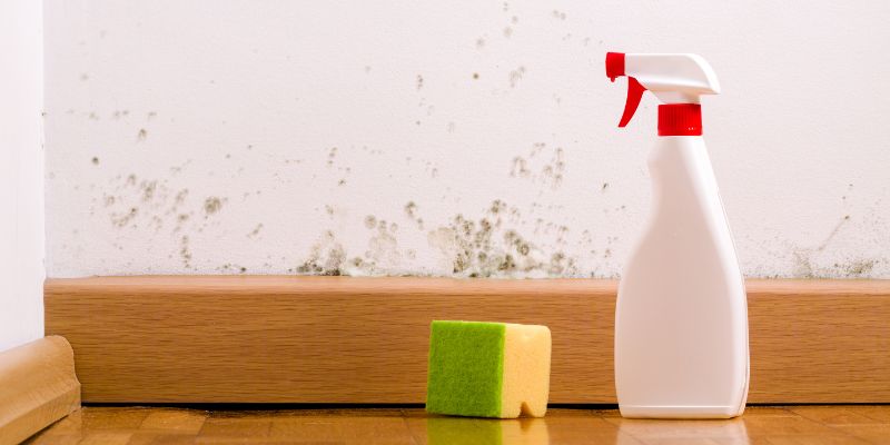 My Go-To Products for Sunscreen Stain Removal