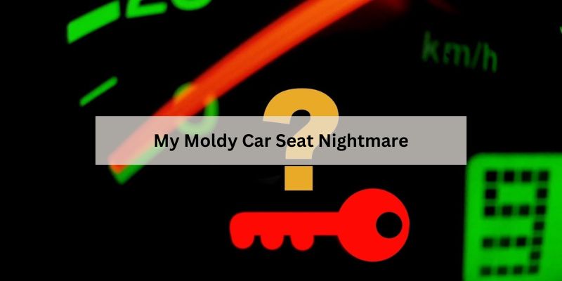 My Moldy Car Seat Nightmare (1)