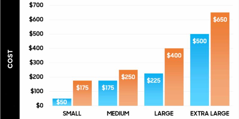 Factors That Influence Car Detailing Prices