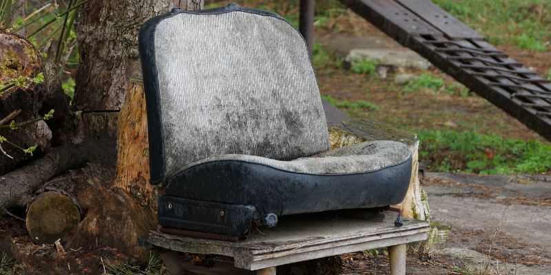 Health Risks of Mold in Your Car