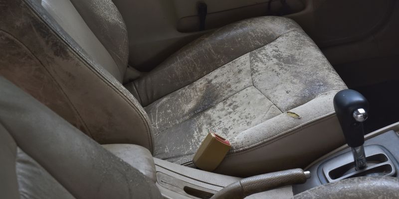How to Get Rid of Mold on Car Upholstery