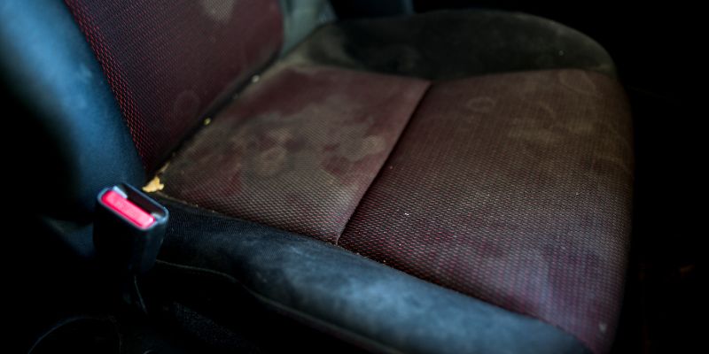 Step-by-Step Guide to Removing Mold