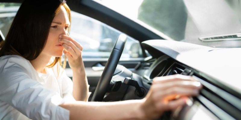 Proven Ways How To Get Cigar Smell Out of Car