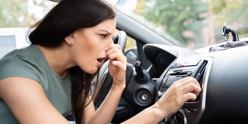 Proven Ways How To Get Cigar Smell Out of Car
