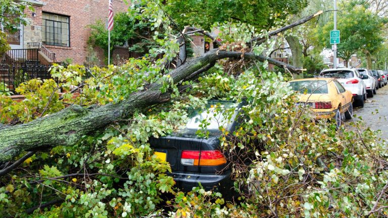 Does Car Insurance Cover Hurricanes