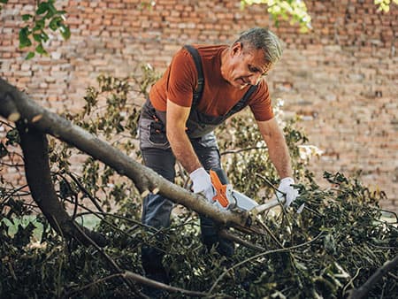 Does Homeowners Insurance Cover Car Damage