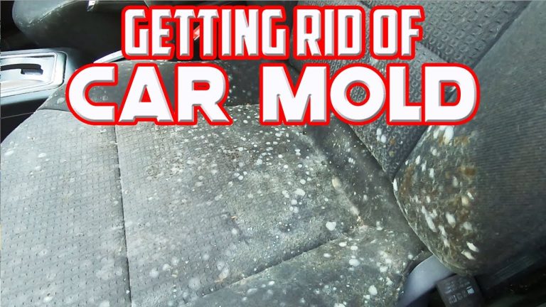 How to Kill Mold in Car