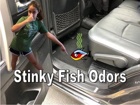 How to Remove Odors from Car Carpet