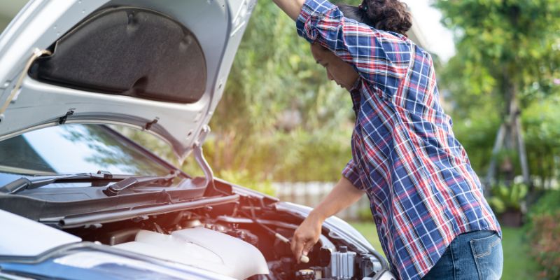 What Should Car Oil Look Like