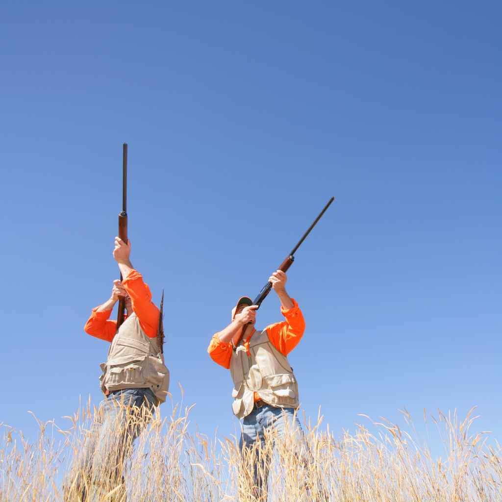 Understanding the Mossberg Shockwave