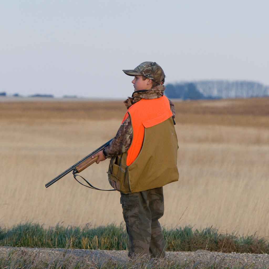 Can You Carry A Mossberg Shockwave: