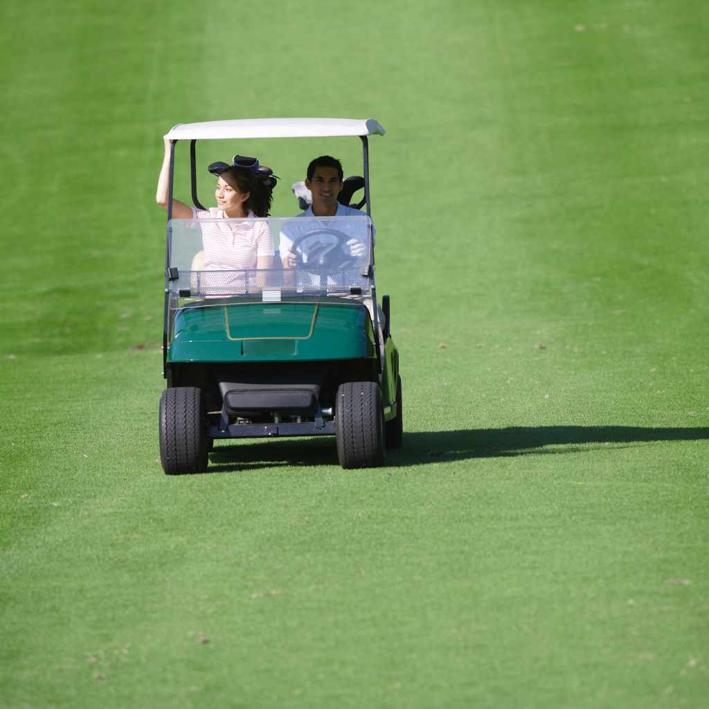 Alternatives To Consider