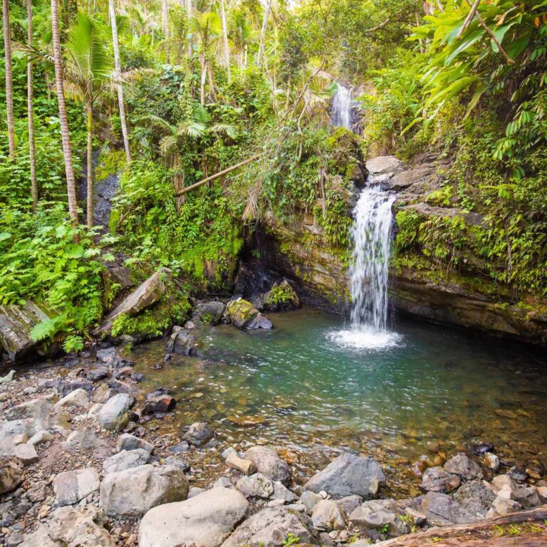 How To Get To El Yunque Without A Car