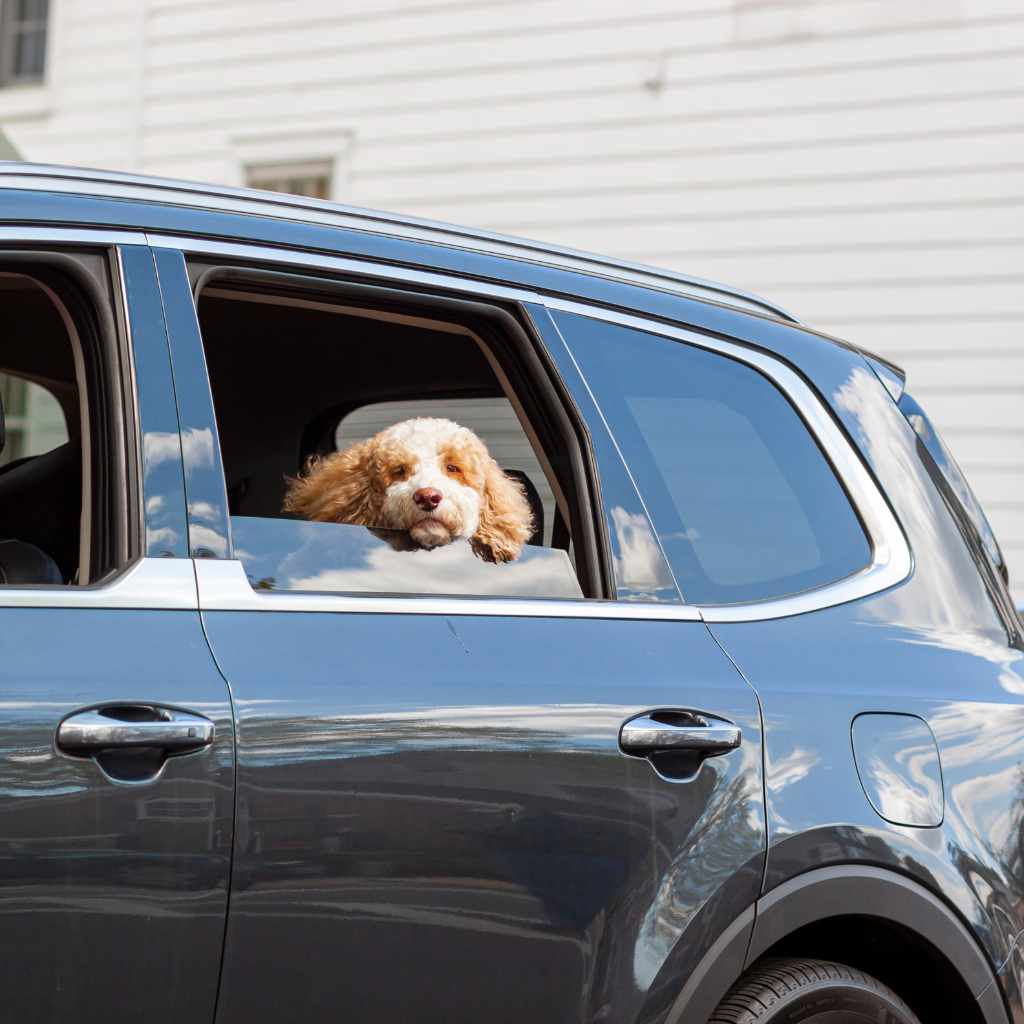 Safety Concerns And Prevention